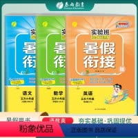 语数英 人教+苏教+译林 小学五年级 [正版]2023秋实验班提优训练暑假衔接五升六年级语文数学英语人教苏教译林小学假期