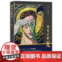梁光正的光 梁鸿 人民文学出版社 正版书籍