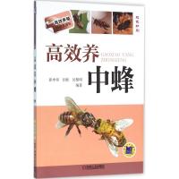 正版新书]高效养中蜂张中印9787111529361