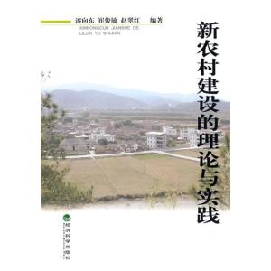 正版新书]新农村建设的理论与实践漆向东9787505875258