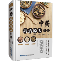 [M]中药高清原大图谱-9787533559984