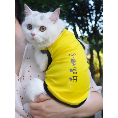 卡通猫咪衣服背心式无袖春夏季薄款泰迪狗狗小型犬小奶猫防毛夏京弗