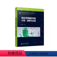 [正版]电化学储能中的计算建模与仿真 施思齐 电化学计算电化学建模电化学仿真 物理材料新能源等专业参考书籍