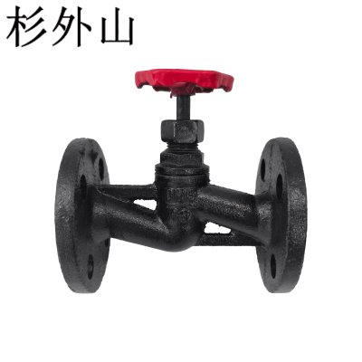 杉外山 重体铜芯蒸汽法兰截止阀 个