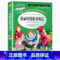 爱丽丝漫游奇境记 [正版]昆虫记完整版法布尔原著小学生三四五六年级必读课外阅读书籍彩图老师6-7-8-9-12岁初中生青