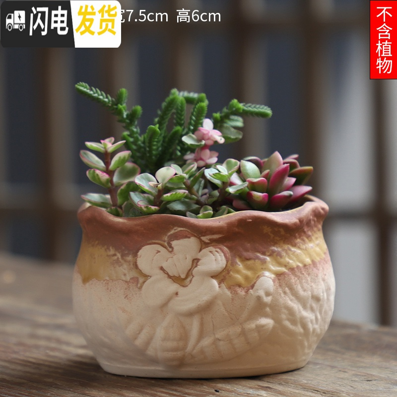 三维工匠可画画上色彩多肉小花盆陶瓷粗陶透气创意肉肉植物盆 翠绿色图片款[1个装] 中等花盆容器