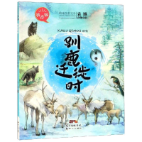 [M]驯鹿迁徙时(拼音版)/袁博动物小说 袁博 著 -9787558316241