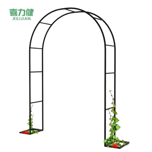 喜力健 铁艺拱门花架 0.8*2.0*0.4M 个