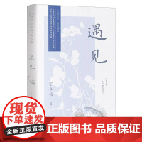 遇见 暖心作家丁立梅散文精选集之二 感悟哲理温情类的文风朴实灵动 真善美感悟哲理温情类小说现当代文学散文随笔名家名作
