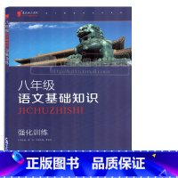 [正版]蓝皮语文系列八年级语文基础知识 强化训练 初中8年级上下通用版基础知识大全训练 基础过关训练 初中语文基础手册