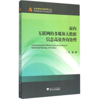 音像面向互联网的多媒体大数据信息高效询处庄毅 著