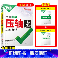 压轴题[化学] 初中通用 [正版]数学压轴题2024初中七年级动点专项训练几何函数精讲精练八年级物理九年级化学必刷题初三