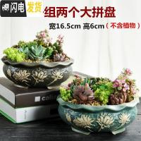 三维工匠多肉大口径拼盘花盆陶瓷室内肉肉大号创意多肉植物小花盆花盆容器