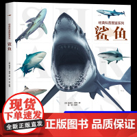 [大开本]经典科普图鉴系列-鲨鱼动物百科全书少儿科普书籍绘本趣味阅读 揭秘海洋6-12岁儿童小学生课外阅读书籍动物知识自