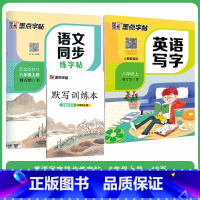 [语文+英语套装]八年级上册 八年级/初中二年级 [正版]八年级上册语文字帖练字小学生硬笔书法字帖一课一练墨点字帖新版初