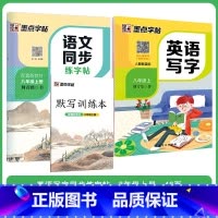 [语文+英语套装]八年级上册 八年级/初中二年级 [正版]八年级上册语文字帖练字小学生硬笔书法字帖一课一练墨点字帖新版初