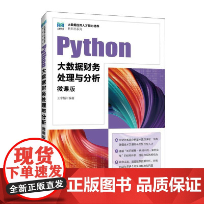 [店教材]Python大数据财务处理与分析(微课版)9787115649836 王宇韬 人民邮电出版社