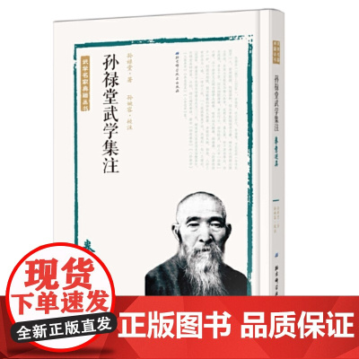 孙禄堂武学集注—拳意述真