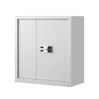 帅畅指纹电子保密柜钢制密码文件柜档案柜矮柜资料柜办公柜单节白色:国保锁