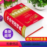[正版]收词1万2024年高中初中生小学生中华成语词典儿童语文四字词语带解释速查字典人教版多功能常用实用现代汉语成语大