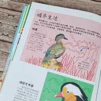 城市里的野生动物朋友——空中飞侠