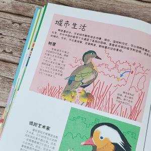 城市里的野生动物朋友——空中飞侠