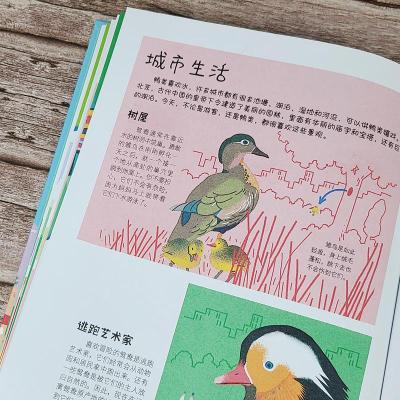 城市里的野生动物朋友——空中飞侠