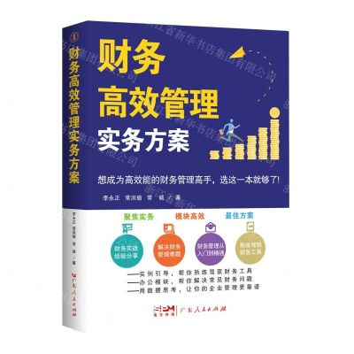 [N]财务高效管理实务方案-9787218160979