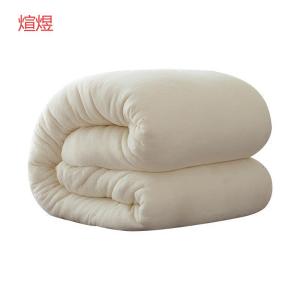 煊煜 全棉包布棉花被 XY-1 条