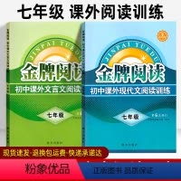 文言文+现代文 2本 七年级/初中一年级 [正版]新版金牌阅读七年级语文阅读理解专项训练 初中现代文 文言文阅读训练2本
