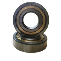 SKSM圆柱滚子轴承NUP314EM