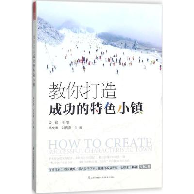 教你打造成功的特色小镇
