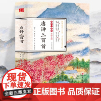 国学一本通-彩图全解 唐诗三百首 初中生高中生国学经典小说书籍 中国经典传统古 徐潜 吉林文史出版社 正版书籍