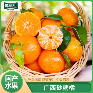 [苏鲜生]广西砂糖橘新鲜水果 净重5斤 小果 单果25mm左右 当季整箱手撕沙糖桔