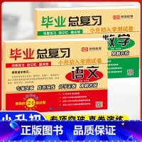 小升初毕业总复习(语文+数学)2本 小学升初中 [正版]2023小升初真题卷语文数学英语试卷必刷题人教版小学毕业升学总复