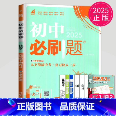 化学 九年级下 人教版 [正版]2024新版初中必刷题九年级上册下册数学英语化学物理九下人教版苏科版苏教版沪教江苏初