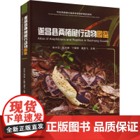 遂昌县两栖爬行动物图鉴 余水生 等 编专业科技 正版图书籍 中国农业科学技术出版社