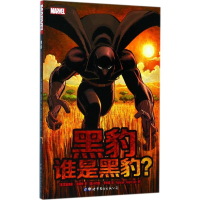 音像黑豹