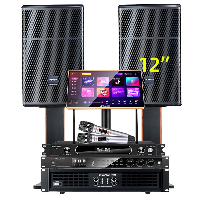山水(SANSUI)SQ12家用电视组合功放套装唱歌商用设备音箱 SQ12专业箱+功放+效果器+U段麦+2T+低音炮