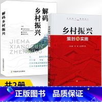 [正版]乡村振兴策划与实施+解码乡村振兴 全2册 闫凤翥,李 经管、励志 经济理论、法规 **新农村振兴战略理论 **
