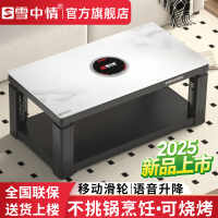 雪中情取暖桌烤火桌茶几一体电暖桌电暖炉客厅家用多功能电烤桌长方形电烤炉烤火炉电炉电暖器取暖器W25水晶浮雕1.2米