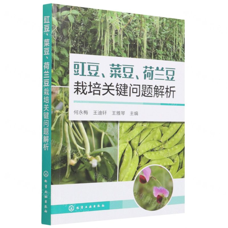 [N]豇豆菜豆荷兰豆栽培关键问题解析-9787122398246