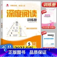 语文 五年级下 [正版]2023春版深度阅读训练册小学五年级B版人教版注音版5年级语文上下册通用课外练习册阅读理解看图说