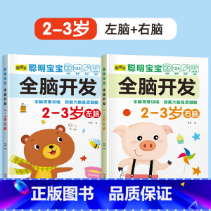 2册[2-3岁]左+右脑开发 [正版]儿童左右脑开发训练全脑益智逻辑思维书连线迷宫数学游戏书2-3-4-5-6岁儿童专注