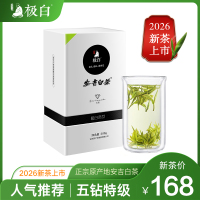 2026绿茶 极白安吉白茶特级100g正宗礼盒装 珍稀春茶明前茶叶