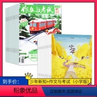 [正版]订阅 2024年全年 共36期2024年作文与考试小学版杂志+三联少年新知杂志 2024年全年杂志订阅 共36