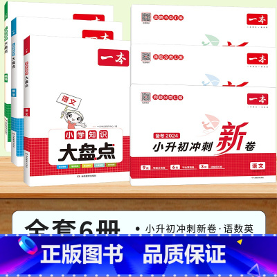 ❤[冲刺新卷+知识大盘点]语+数+英.全6册 小学升初中 [正版]小升初冲刺新卷必刷题人教版名校真题卷2024语文英语数