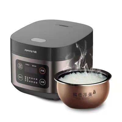 九阳 F40FZ-F336 电饭煲家用IH电磁加热电饭锅4L大容量多功能预约蒸煮饭[铜匠厚釜] 4L