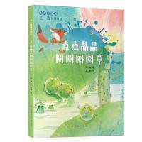 正版新书]点点晶晶圆圆圈圈草:::王一梅9787558429729