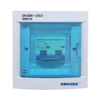 赛时工控(SHSSGK) SKSB8-125/2 照明开关 (单位:台)配色